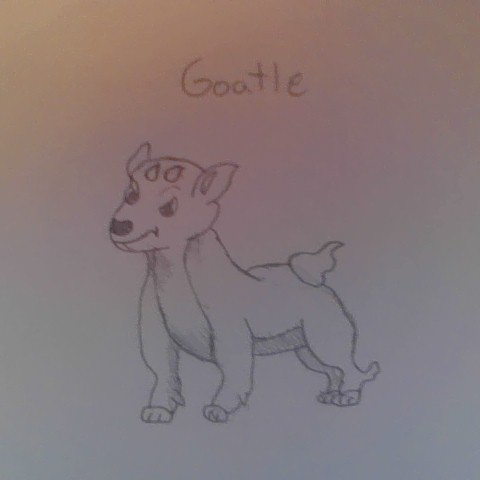 Goatle, the fire goat pokemon, (starter)