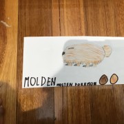 MOLDEN