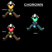 Chorown