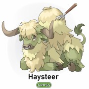 Haysteer