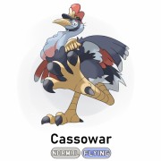 Cassowar