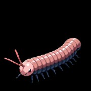 Moxypede